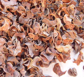 Botanicals Botanicals